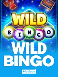 Wild Bingo game